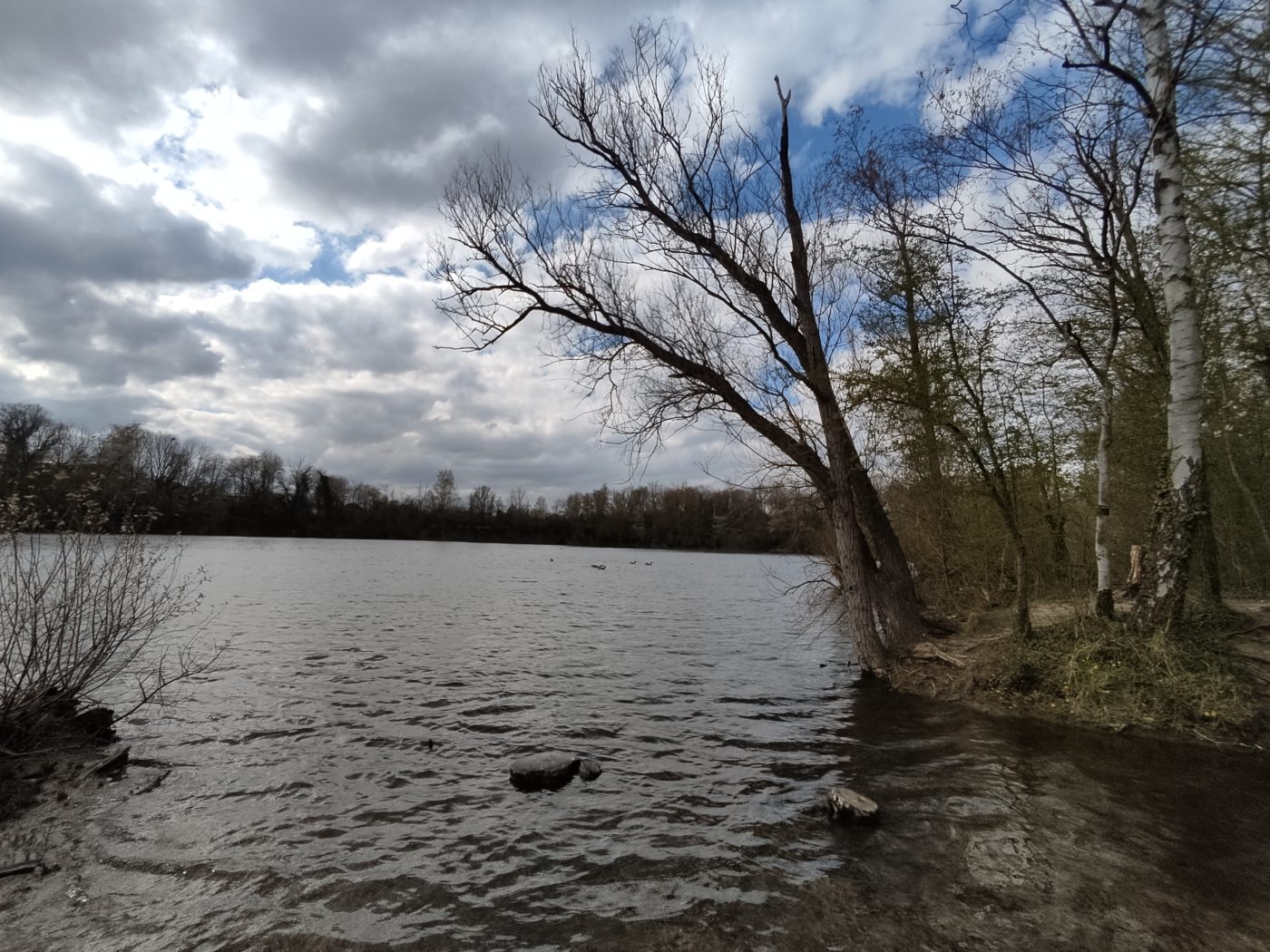 TEST Poco X3 Pro: test / review (take advantage of the ...